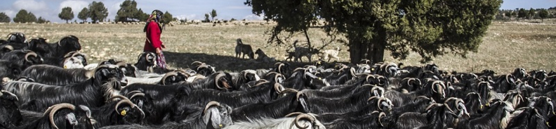 Film gösterimi & söyleşi: "Hey Geçi!