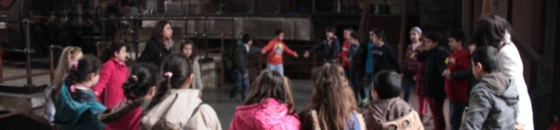 Bilgi ağacı baharda çiçek açıyor