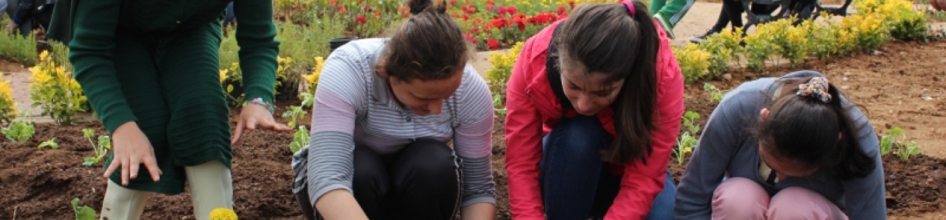 Bu bahçede umut var!