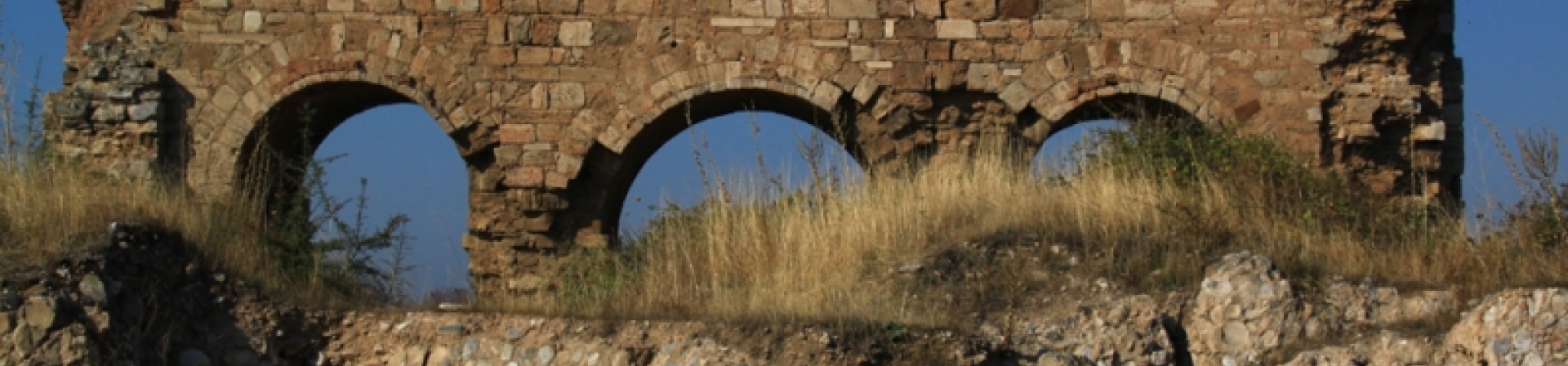 Aydın’da koruma hareketi başlıyor!