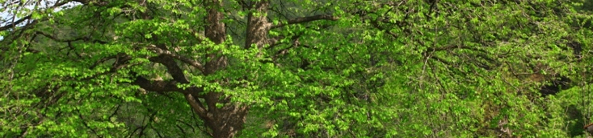 Doğa ve kültürle varız!