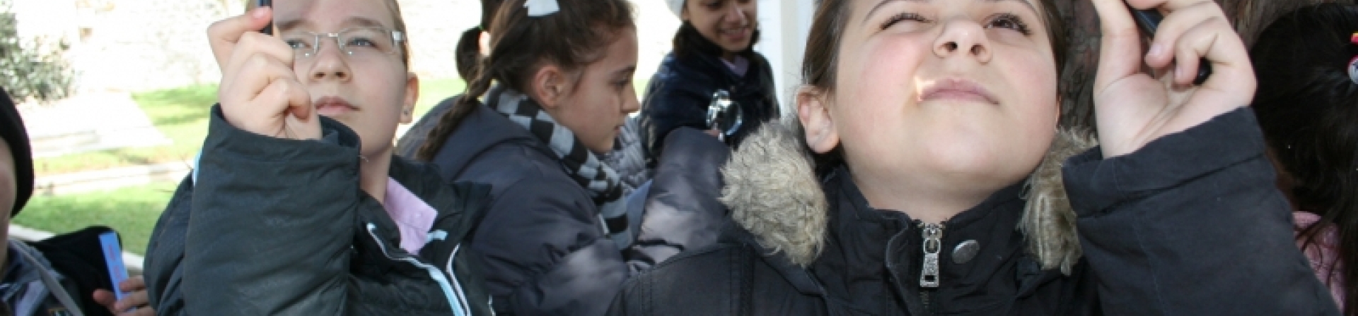 Ağaçların Diliyle İstanbul