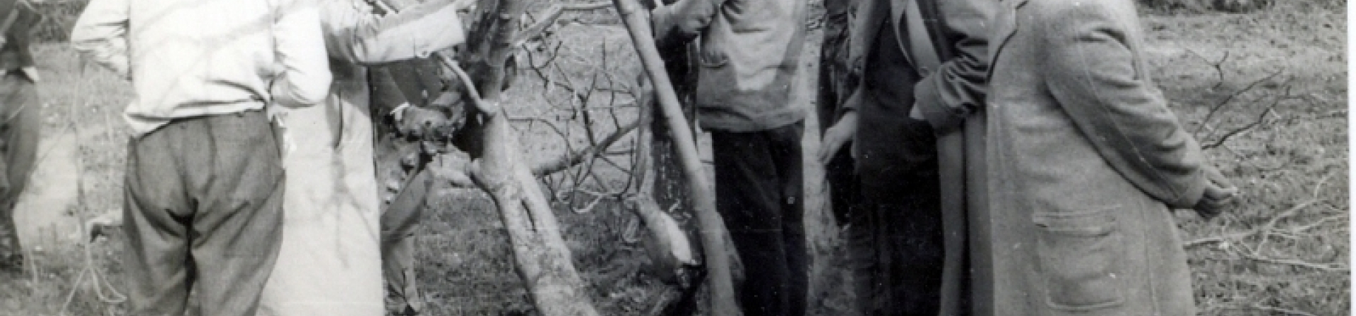 İncirliova'da Koruma için İlk Adımlar