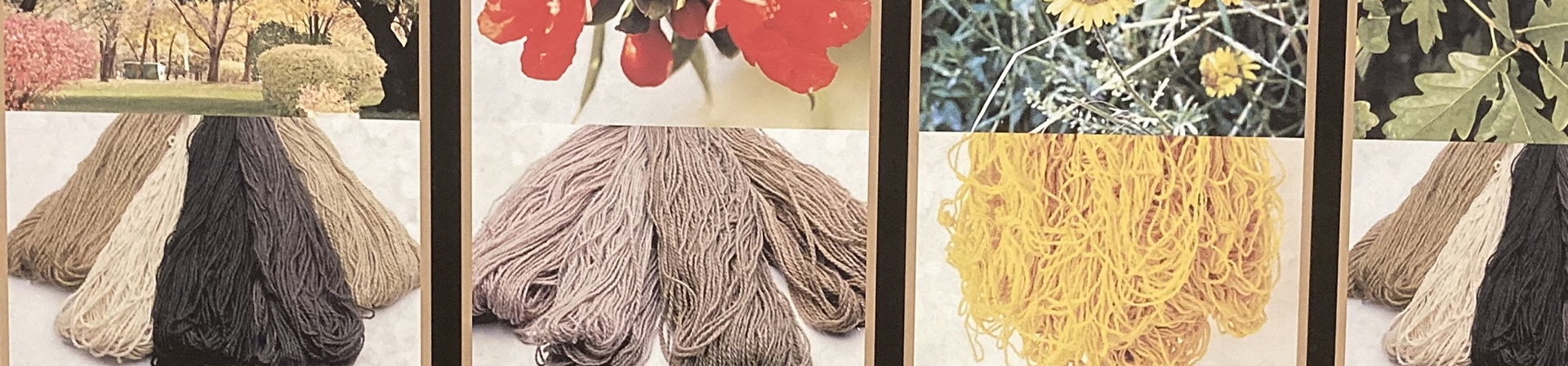 İstanbul’da Bahçe ve Çiçek Coşkusu