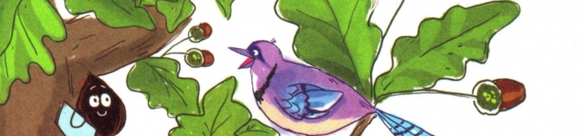 Evini Arayan Ardıç Tohumu