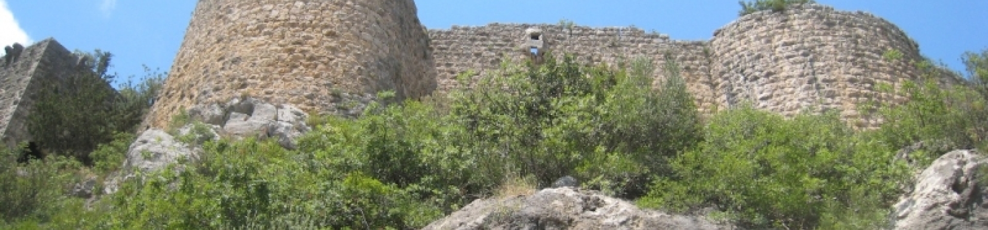 Uzman ve akademisyenler Kozan’ın 50 yıllık geleceğini tartışıyor