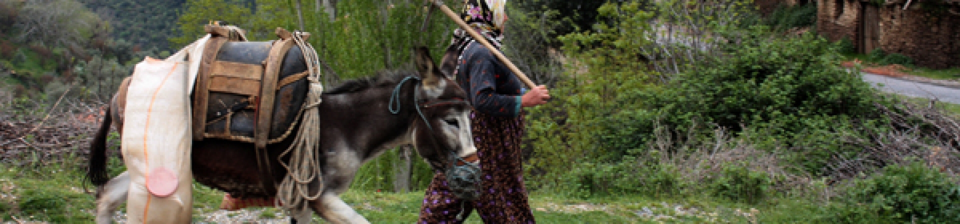 Lübbey: Terkedilmiş Kartal Yuvası 