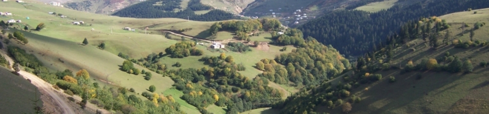 Prof. Dr. Uçkun Geray'ı hasret ve sevgiyle anıyoruz