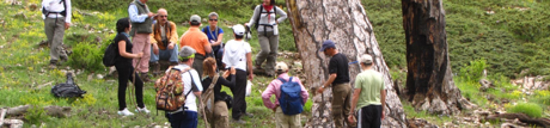 Nallıhan’da sivil hareket kurumları bir araya getirdi