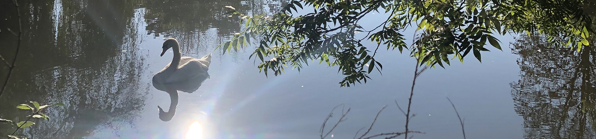 Öğretmenler Hazır: Anadolu’da Eğitimler Başlıyor!