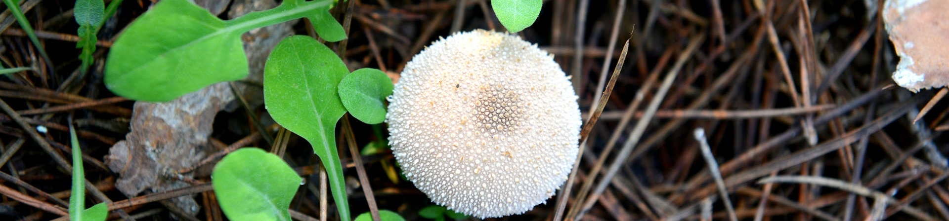 Öğretmenler için Etkinlik Önerisi: Senin Yaşında