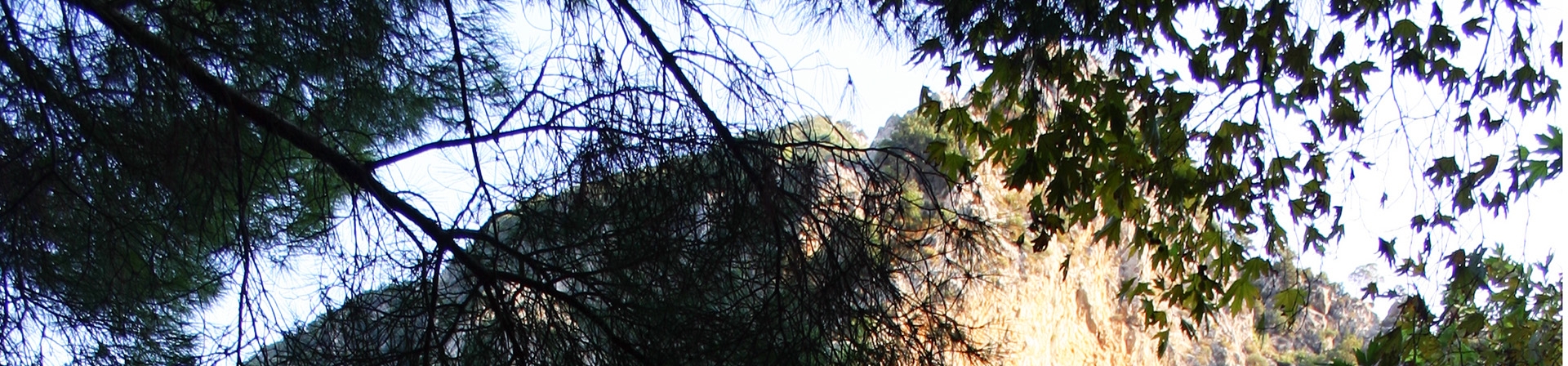 Olympos Antik Kenti edebiyatçıları buluşturdu