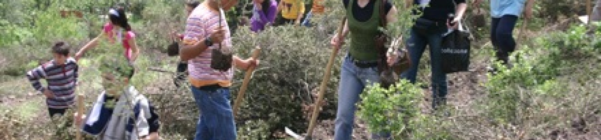 Fidanlar Toprakla Buluşmaya Başladı