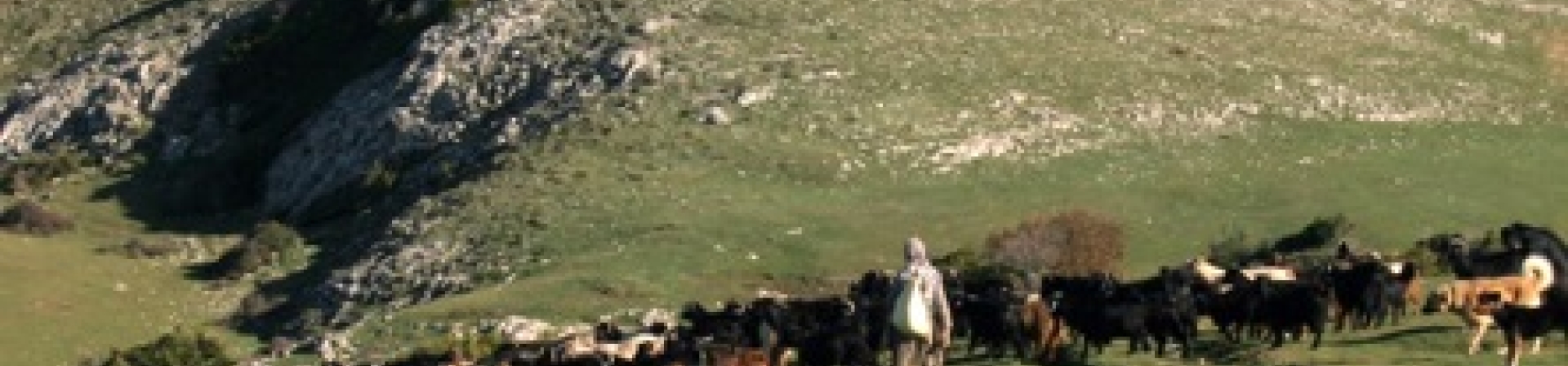 “Havza Ölçeğinde Koruma Birlikleri” Safranbolu’da Konuşulacak