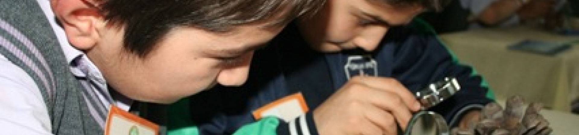 Çocuklar Ağaçlarla İstanbul’u Tanımaya Başladı