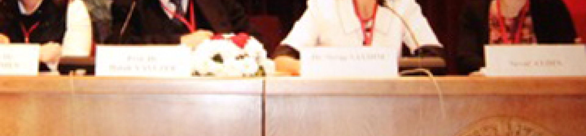 Eğitimcilerimiz Çocuk Oyunlarıyla İlgili Bildiri Sundu