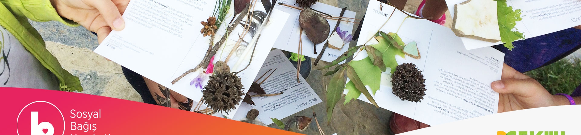 Sosyal Bağış Hareketi Ocak ayında ÇEKÜL Bilgi Ağacı ile başlıyor!