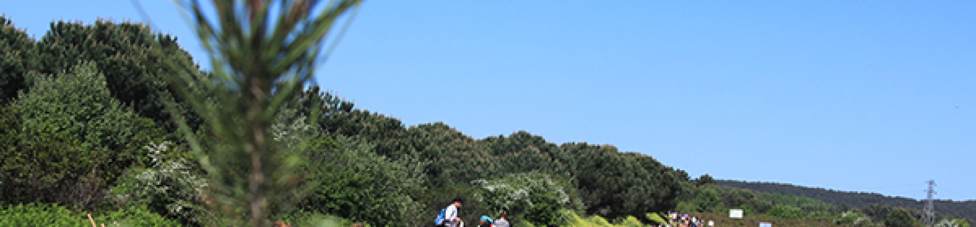 ÇEKÜL Vakfı ve doğa dostları 92 Ormanında baharı karşıladı