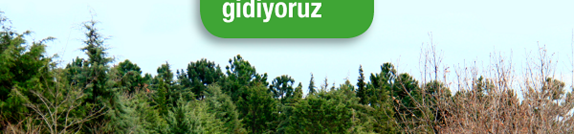 92 Ormanımıza gidiyoruz