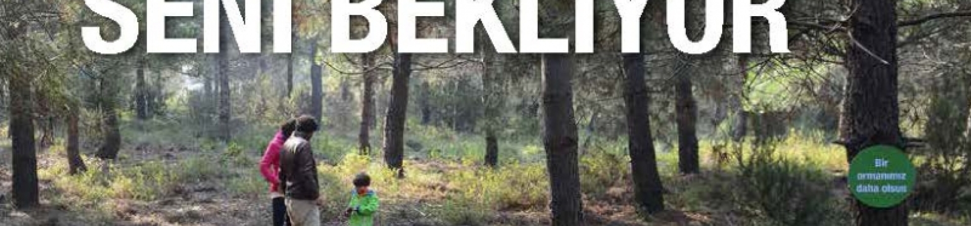 92 Ormanı Seni Bekliyor