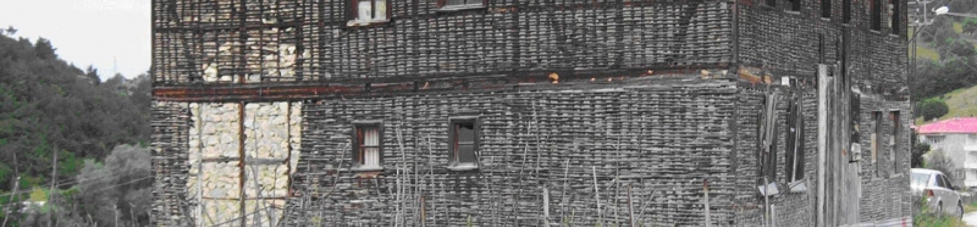 Kardeşçe, Özgürce, Yeşilce