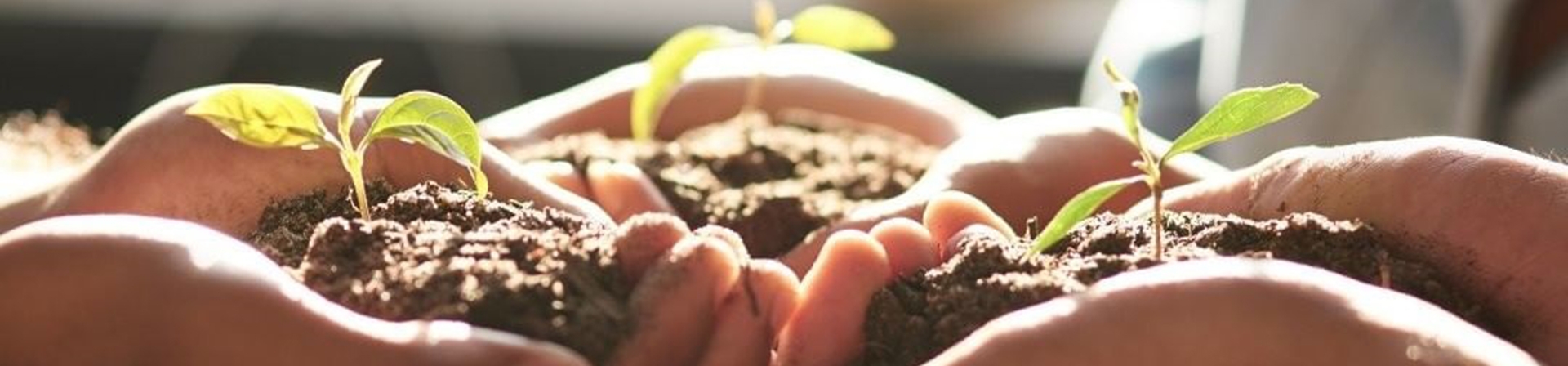 Zehirsiz Sofralar Platformu Kuruldu