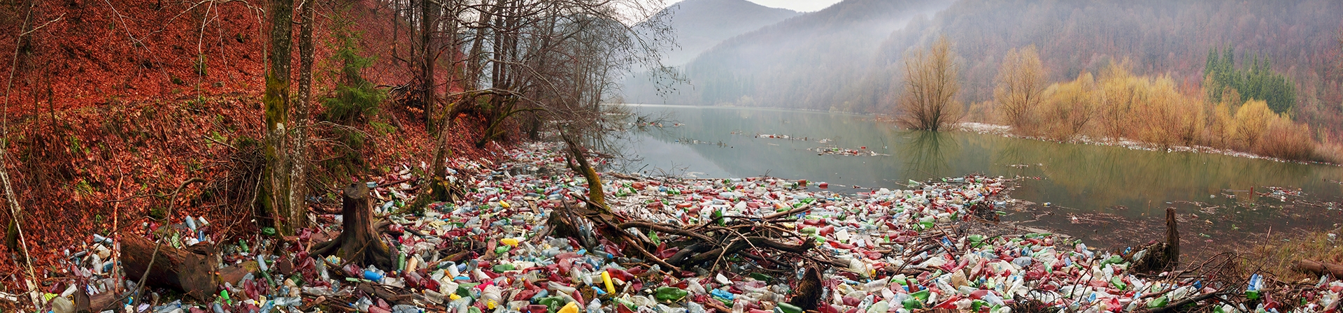 Ekolojik Okuryazarlık ve Yerel Yönetimler