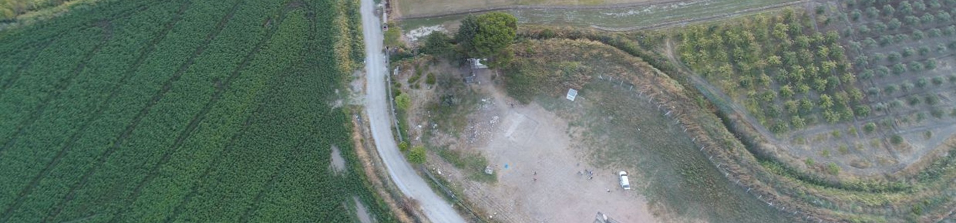 Panaztepe Kazıları