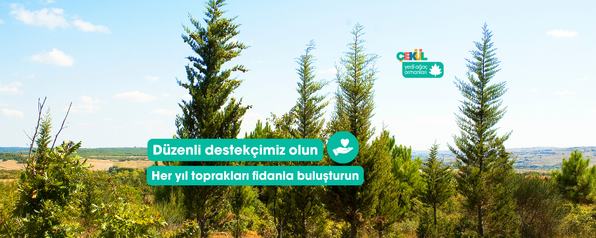 7 Ağaç Ormanları