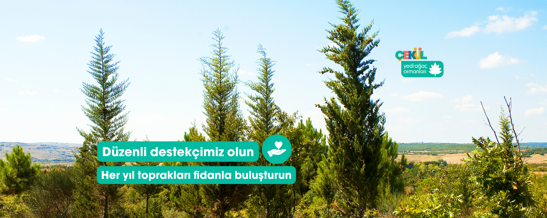 7 Ağaç Ormanları