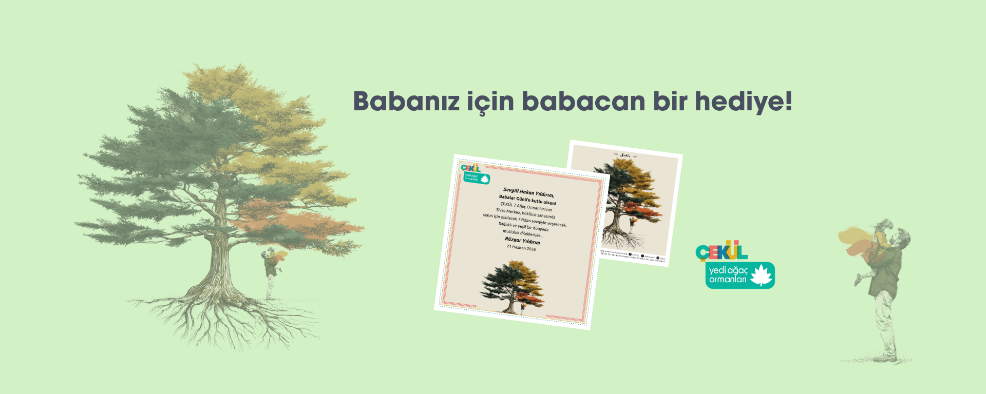 7 Ağaç Ormanları