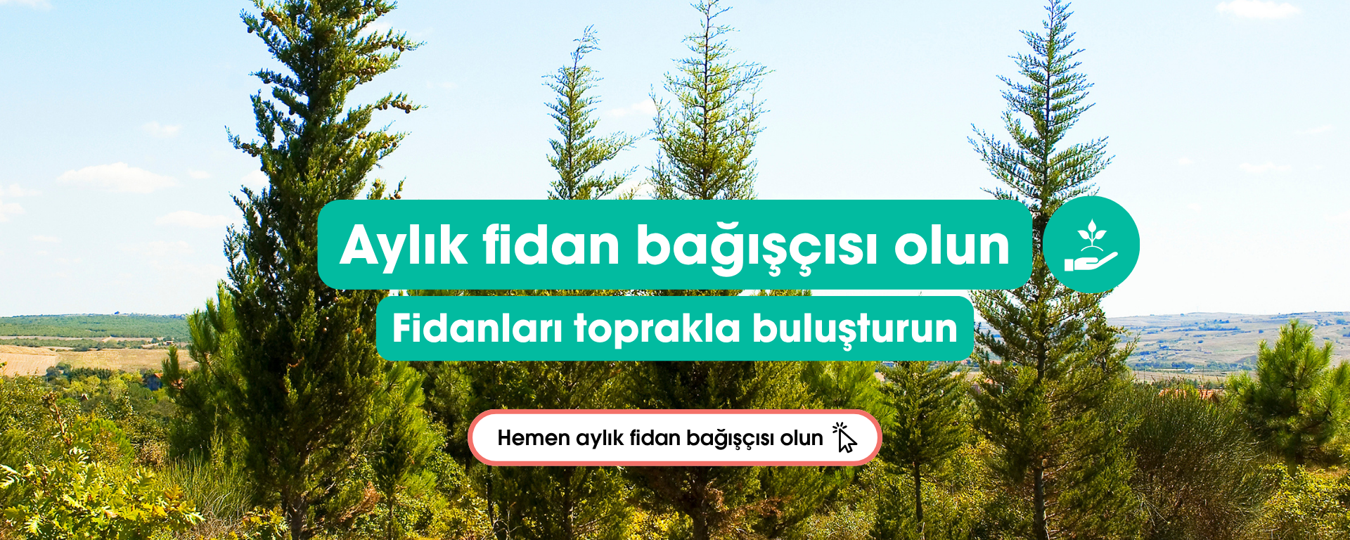 Banner Görseli