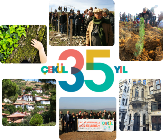 Banner Görseli