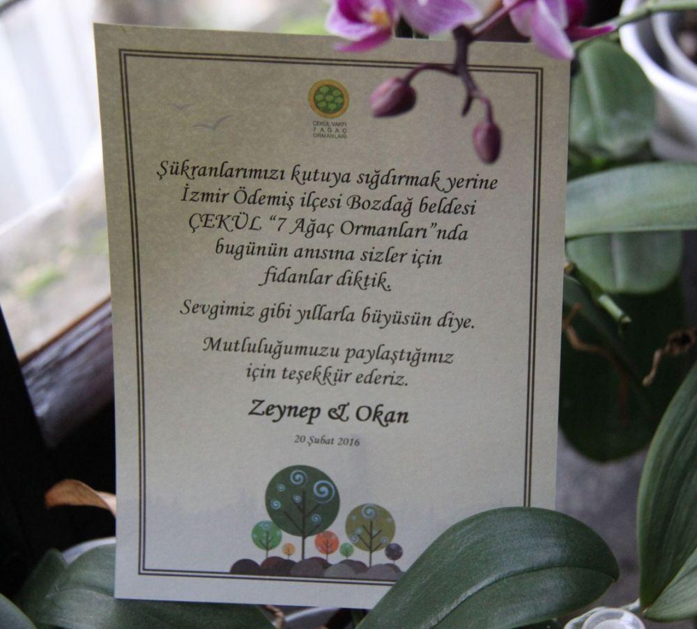 Banner Görseli
