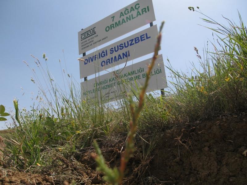 Sivas / Divriği - 2008