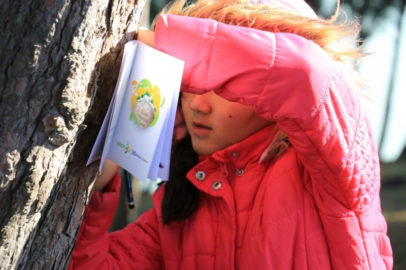 Banner Görseli