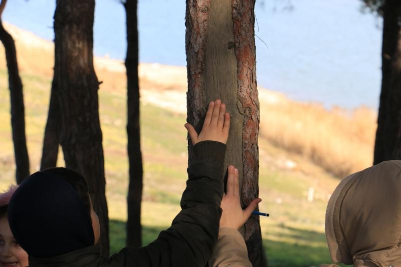 Banner Görseli